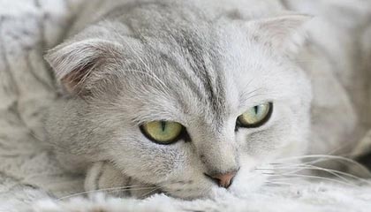 开云体育官方入口-【比赛总结】胜负背后隐藏的战术智慧，比赛有胜负的下一句