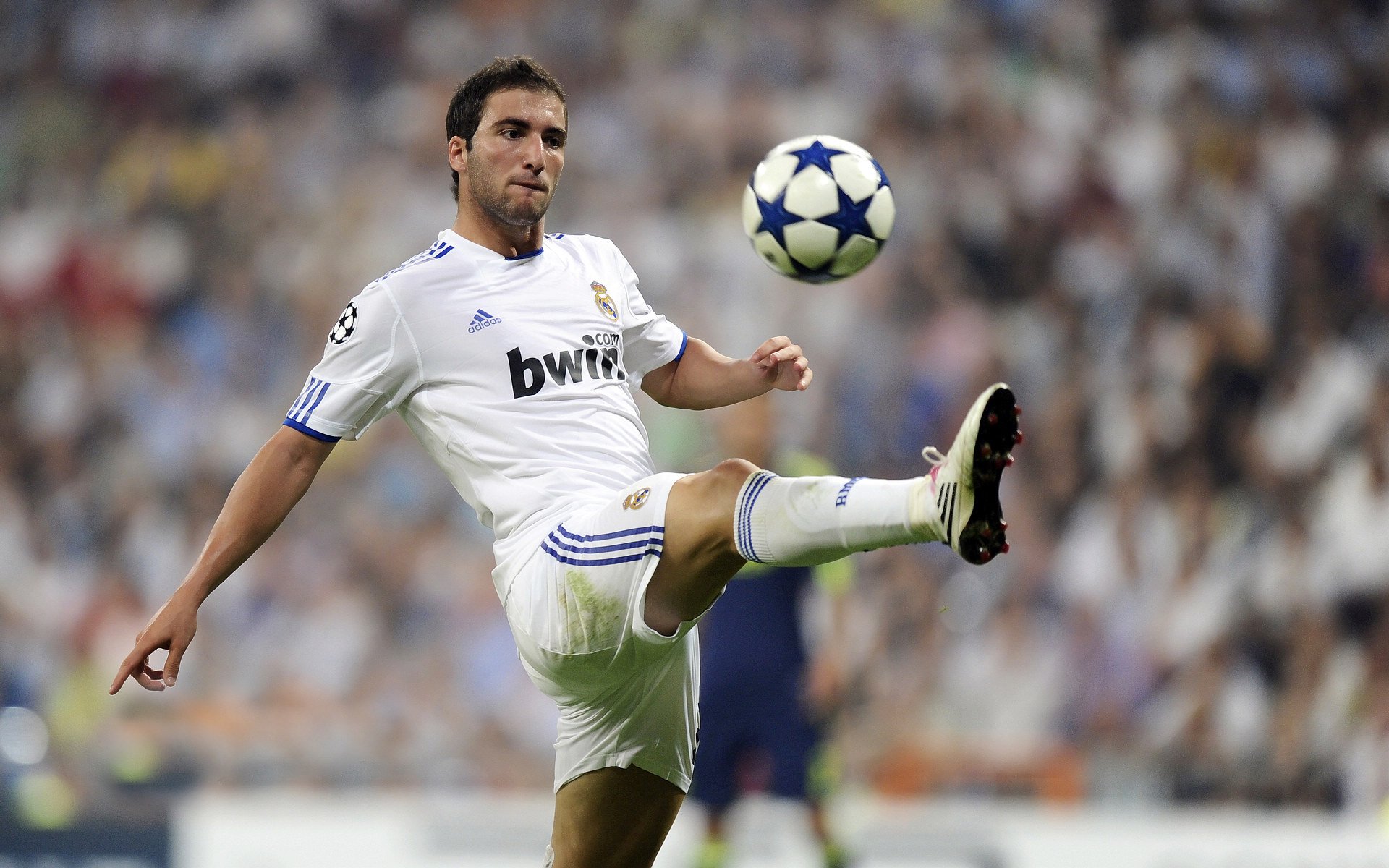 _骑士队士气高涨，团队配合逐渐磨合_，骑士队训练